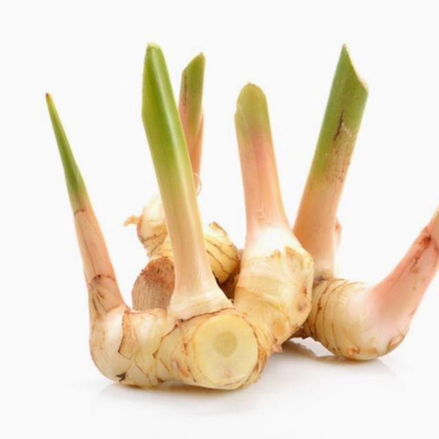 Galangal Root 100g